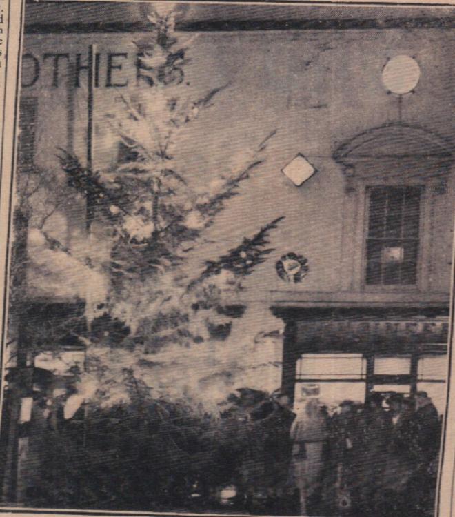 Christmas tree on Bideford Quay><span></span>