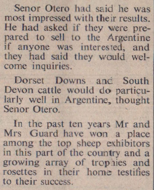 Apr 1974 St Giles Guard Dorset Downs sheep Otero Argentina