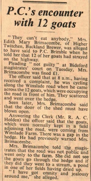 May 1964 Buckland Brewer goats
