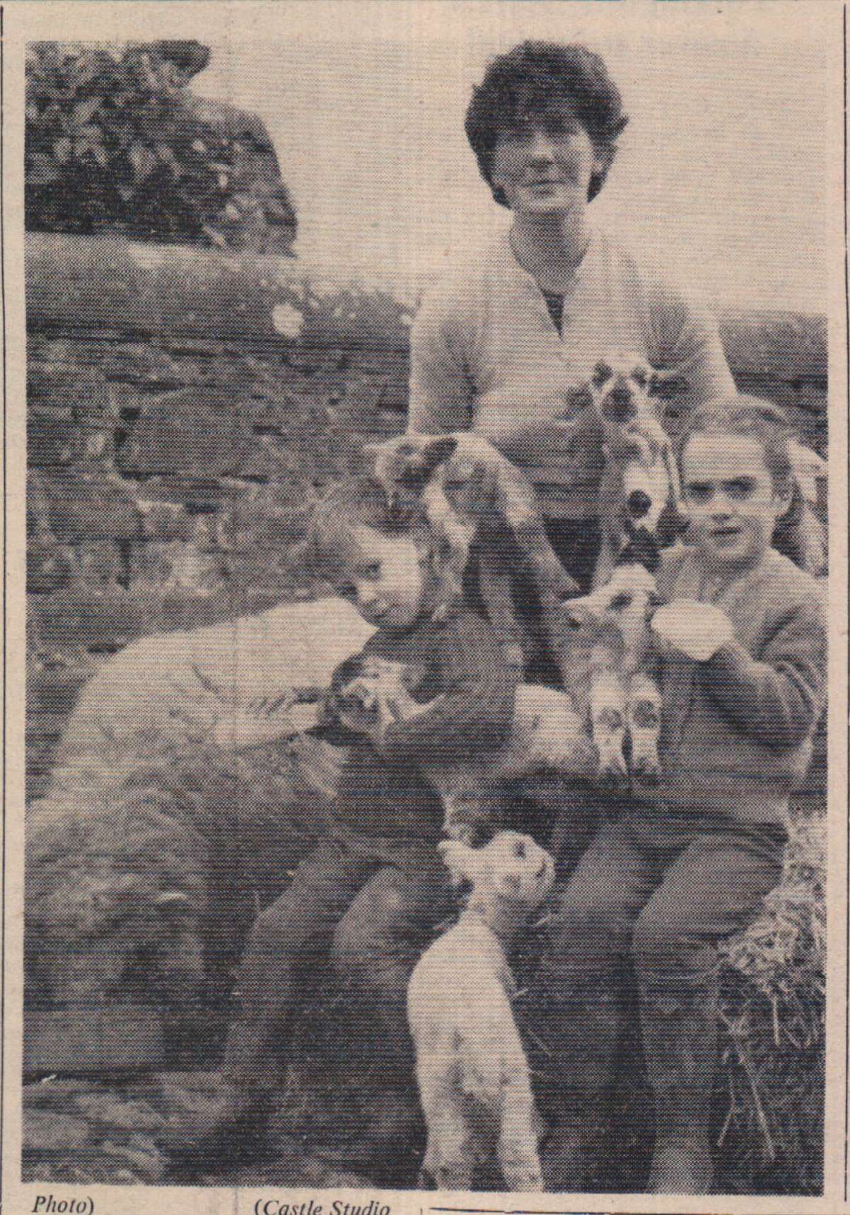 19.3.1965   Sheep quins 1