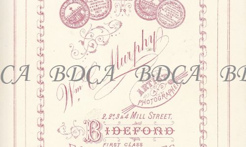 11.1896