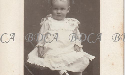 11.1900