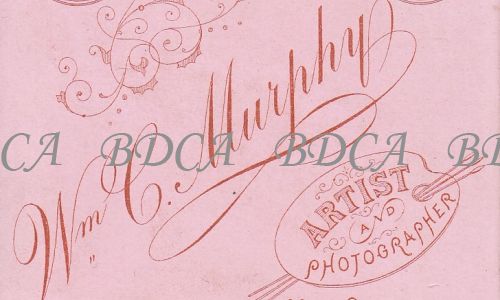 11.19031