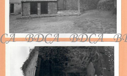 29  