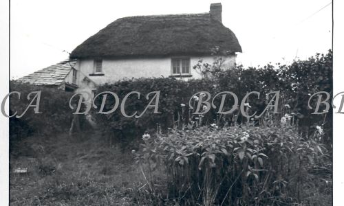 30  