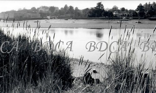 30  