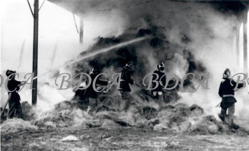 55  