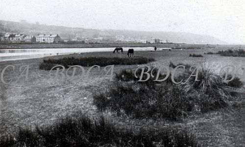 58   northam burrows