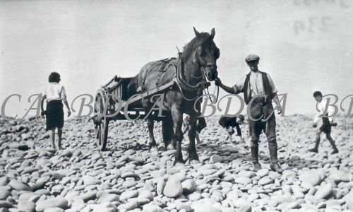 58   potwalloping horse and cart