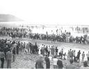 58   horse racing on beach