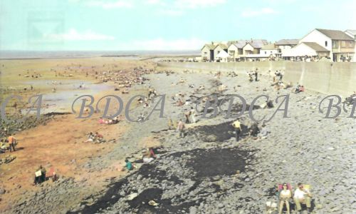 58   beach tide out fairway buoy