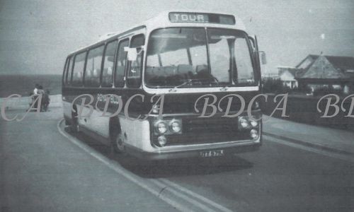 58   royal blue coach near putting green