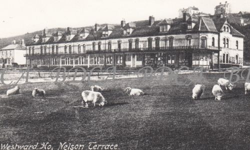 58   nelson terrace shops