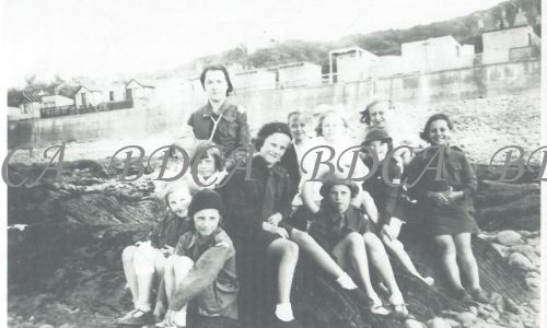 58   brownies miss walk