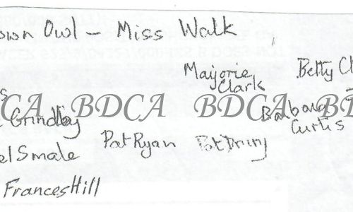 58 .1  brownies miss walk