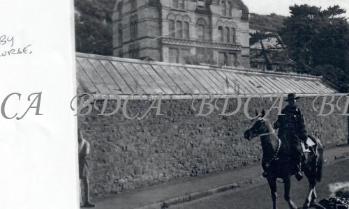 58  275  carnival kirby