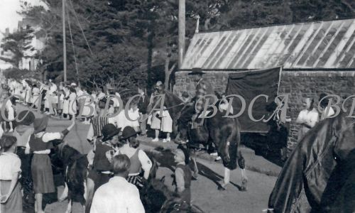 58  276  carnival kirby