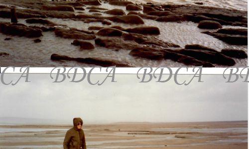 58  93a  beach after february storms