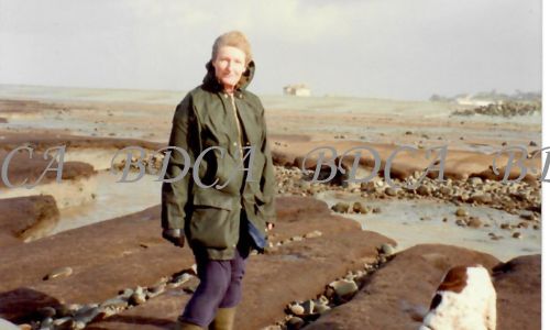 58  93b  beach after february storms