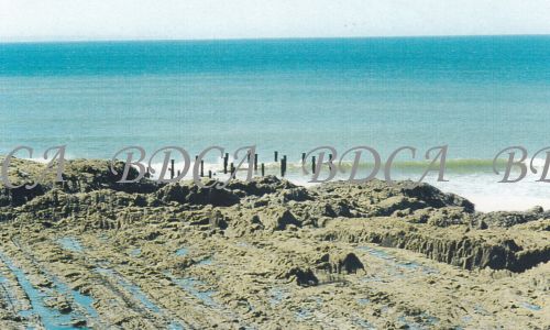 58   remains of pier